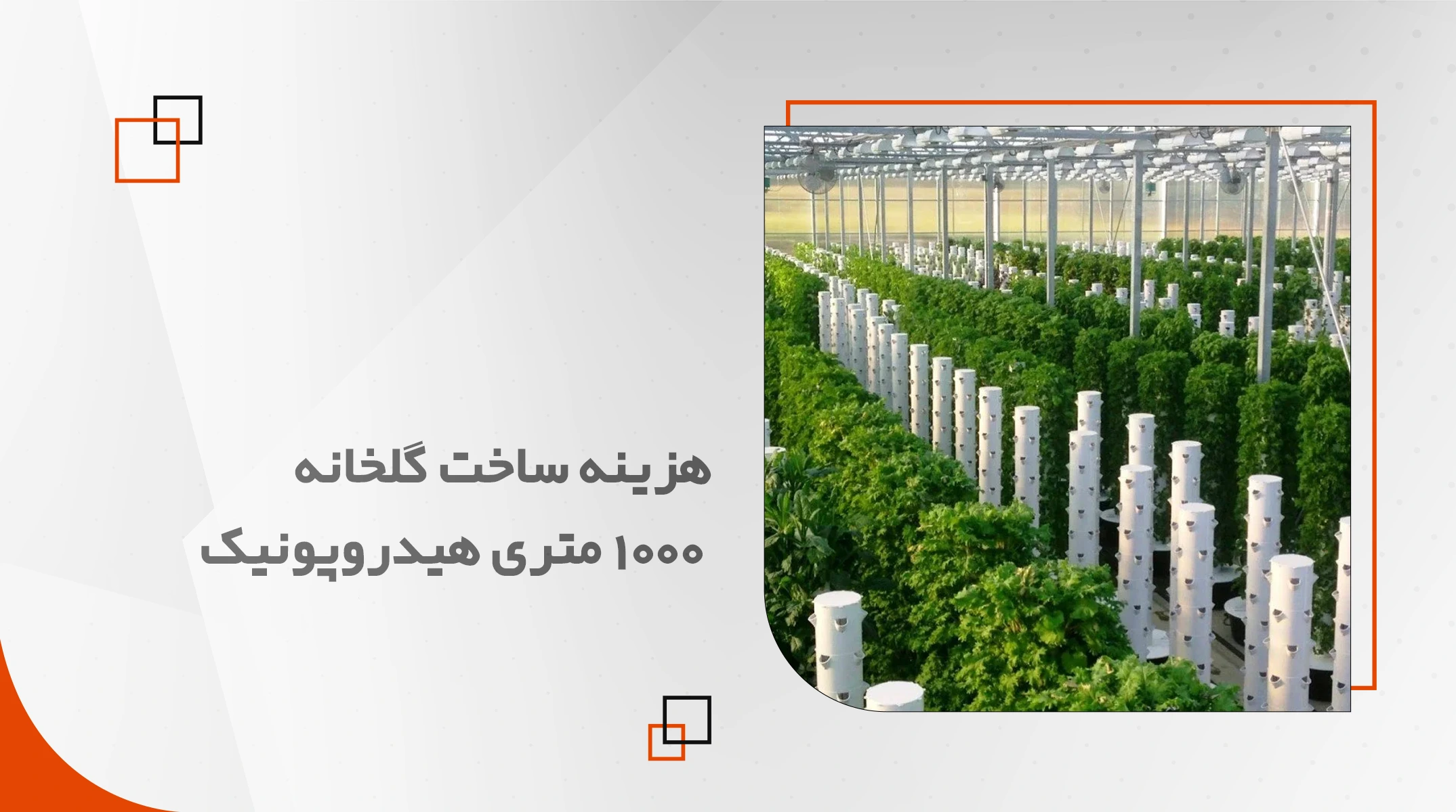 هزینه ساخت گلخانه 1000 متری هیدروپونیک